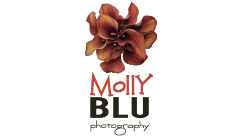 Molly Blu Photography Logo